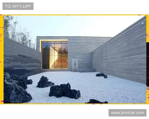 深圳乒乓球队的控制策略与训练深度探秘